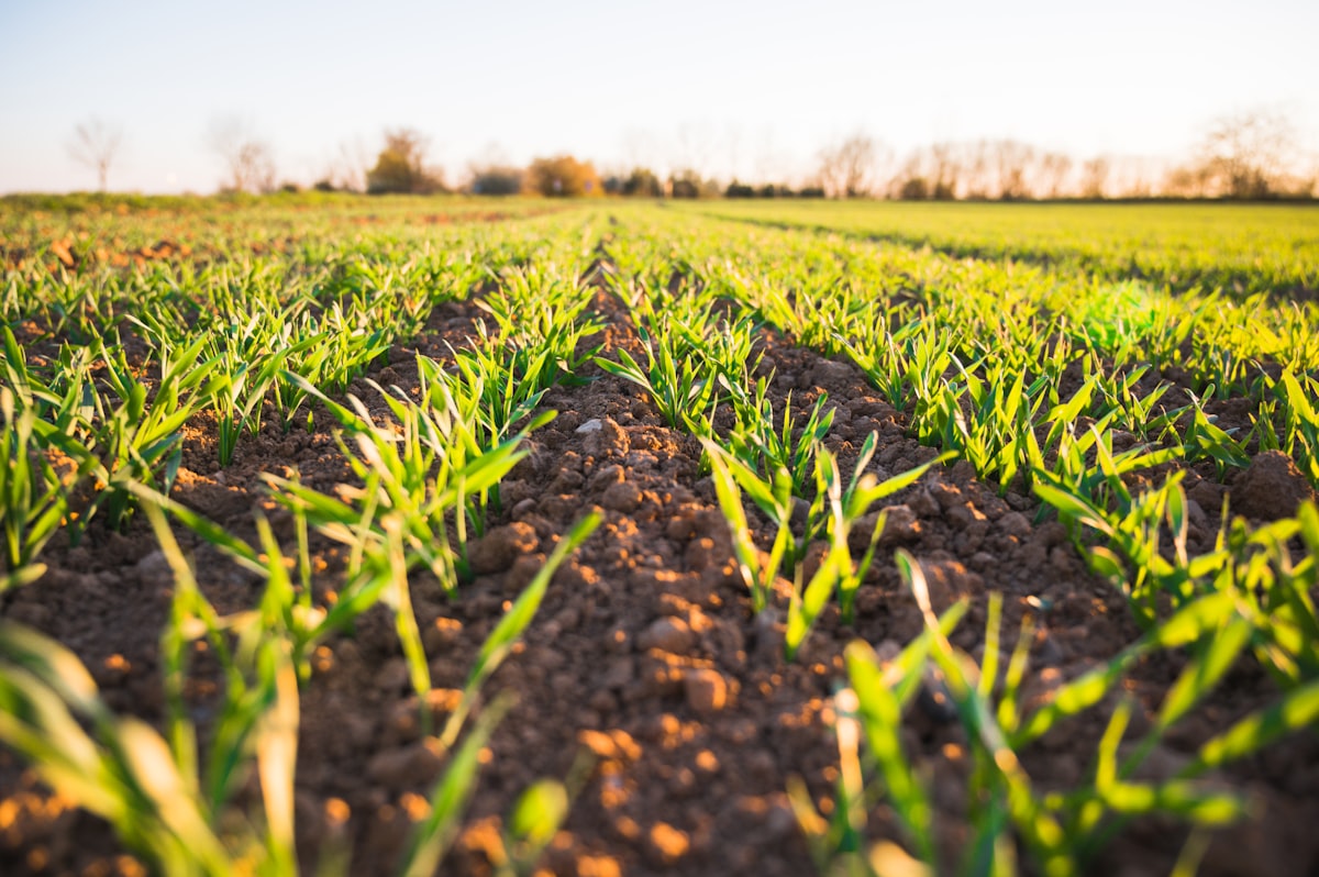 Agri technology field